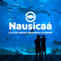 Sortie "Nausicaa"
