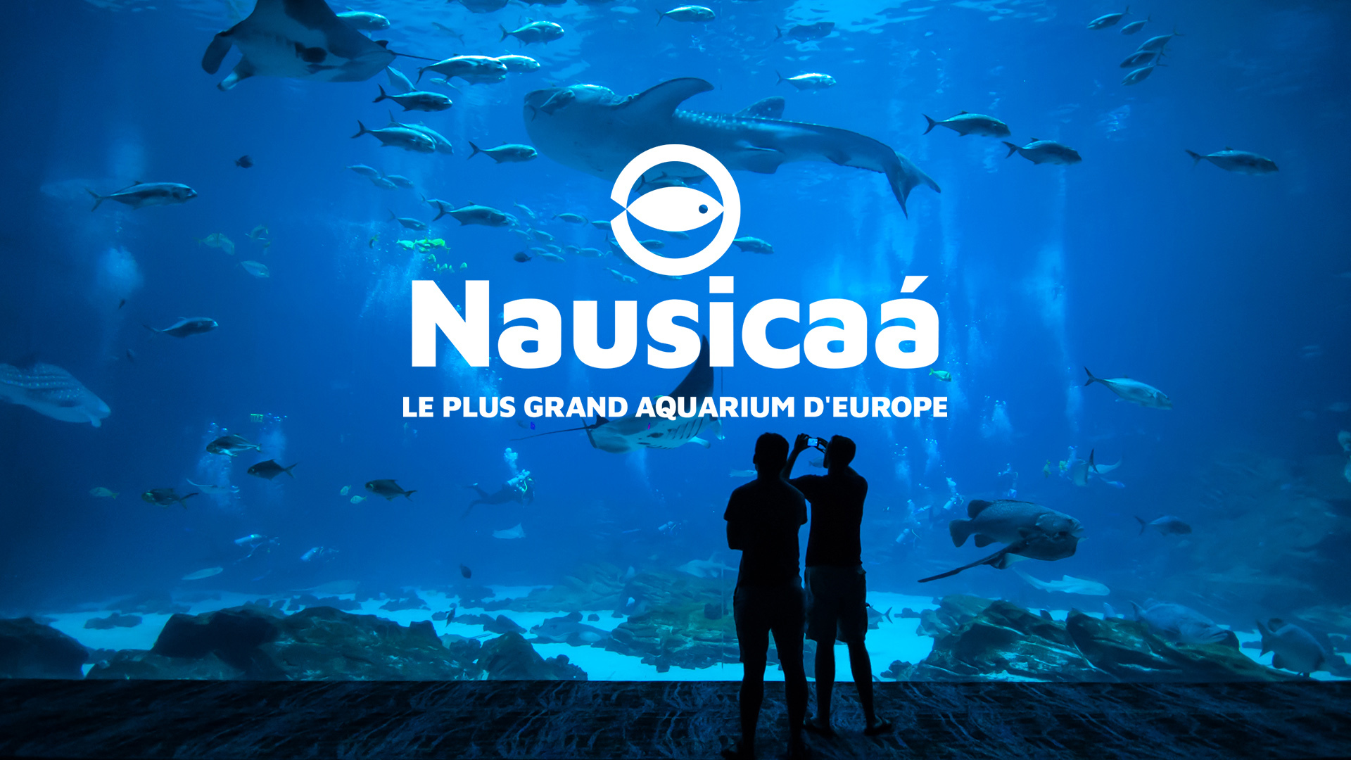 Sortie "Nausicaa"