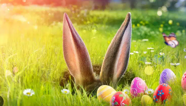 Les pâques de Boisemont